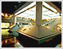 The story of Biohistory Research Hall by slide show (anterior half)