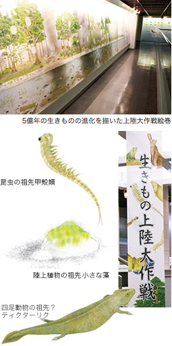 生きもの上陸大作戦