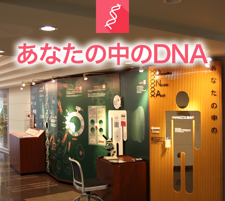 あなたの中のDNA