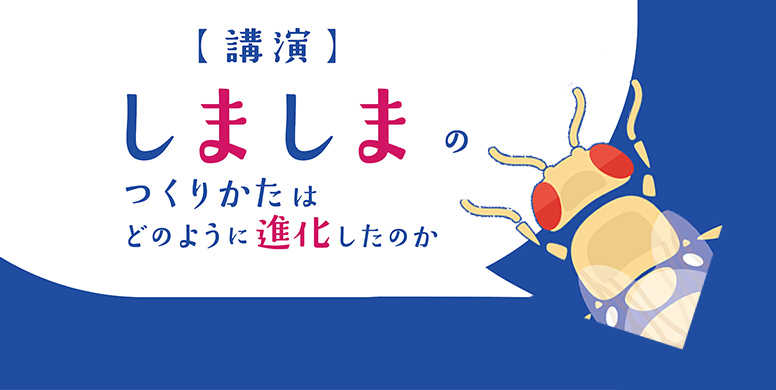 生命誌レクチャー『しましまのつくりかたは、どのように進化したのか』